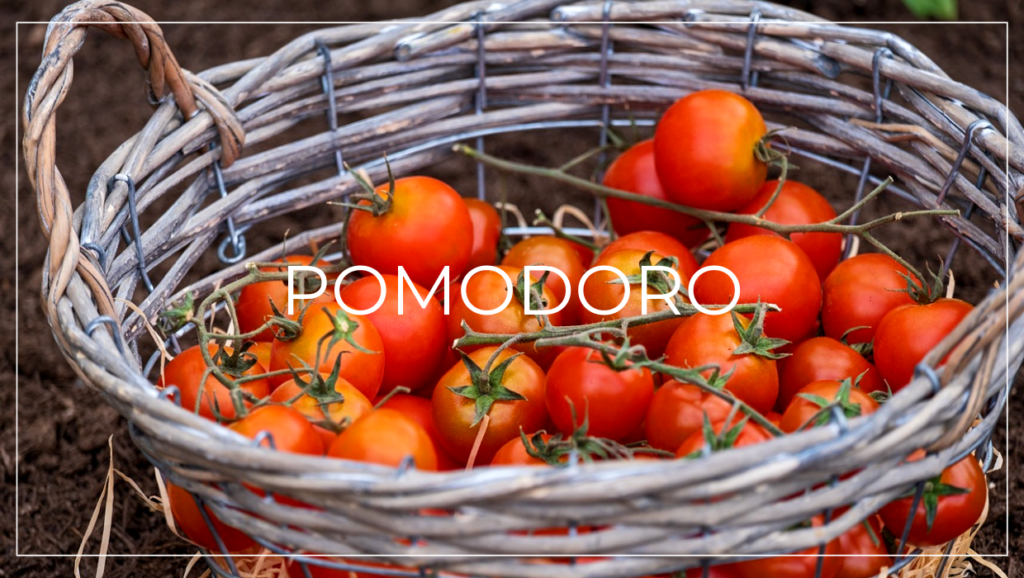 L’abbronzatura vien mangiando: 5 cibi per preparare la pelle al sole - Pomodoro | Almafruits