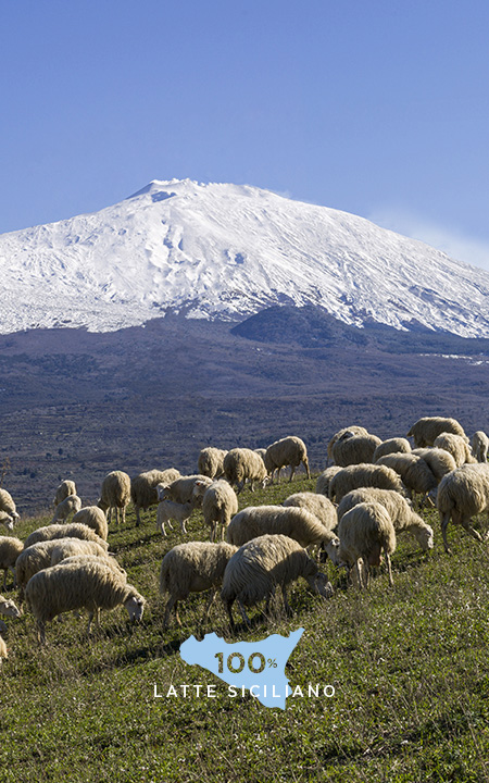 img_la_cava_intro_caseificio