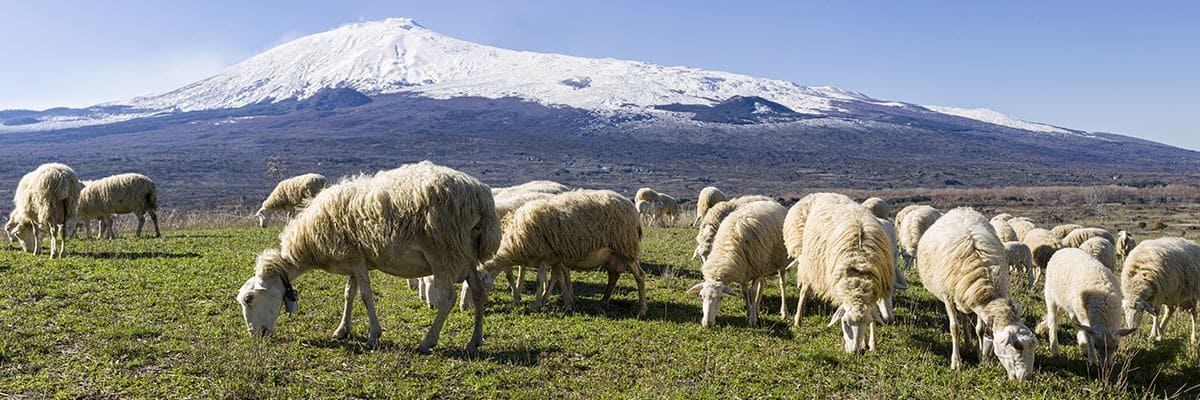 innovazione-rispetto-ambiente