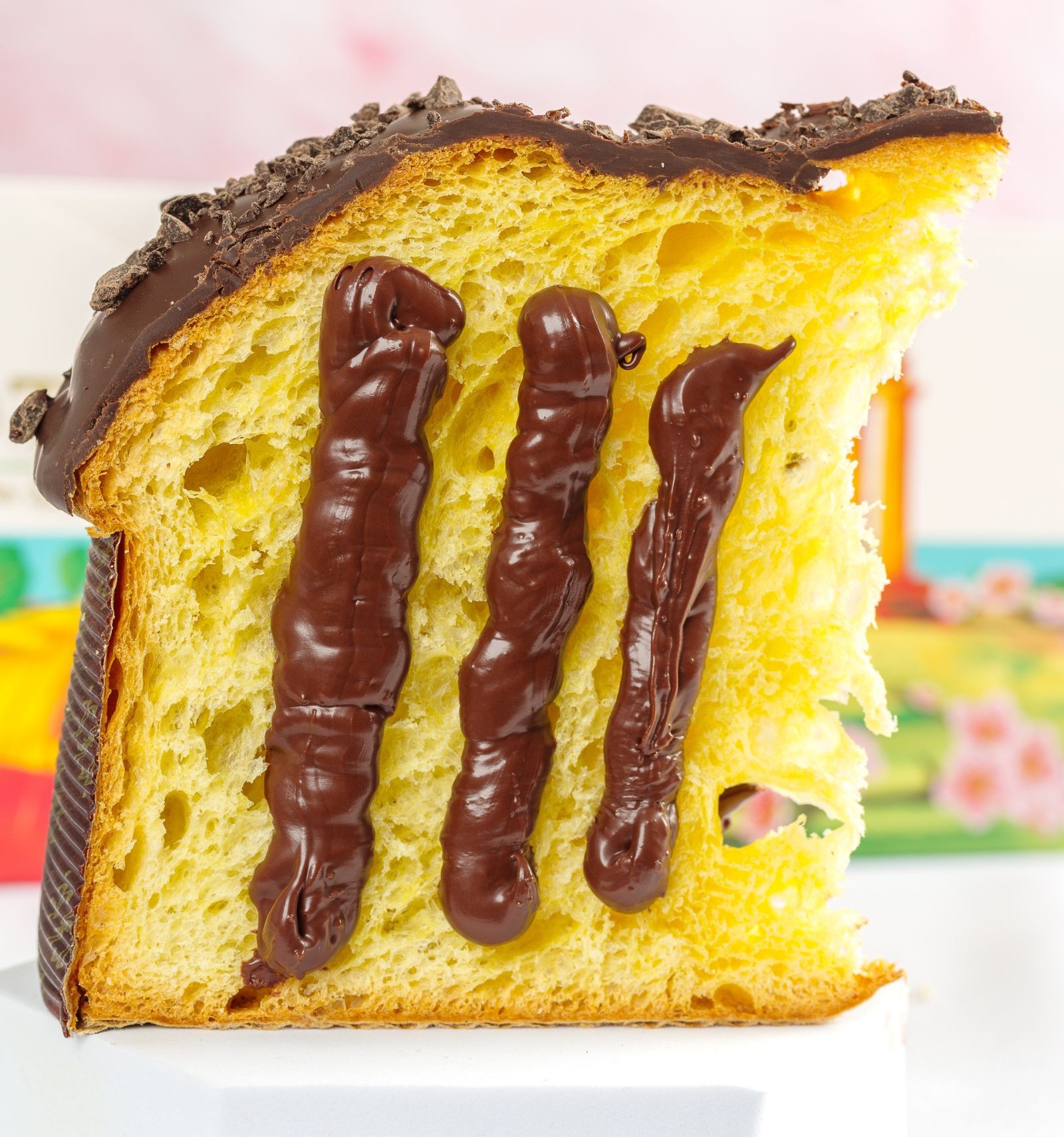 colomba-pasquale-diletta-al-cioccolato-pasticceria-artigianale (1)